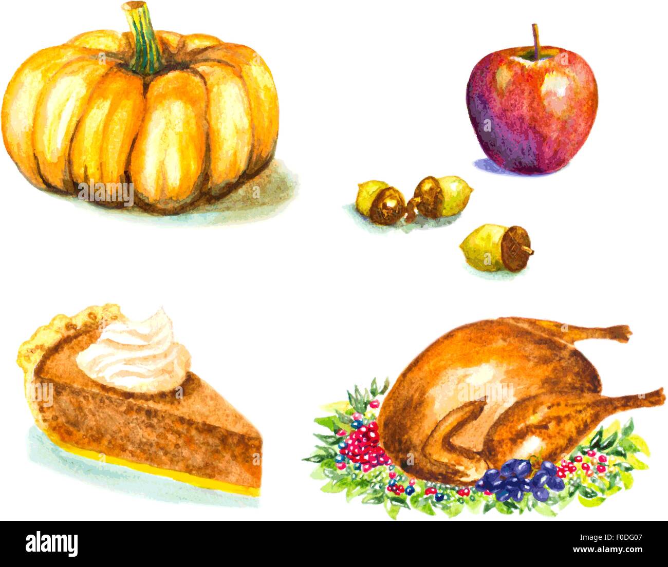 Thanksgiving Day set mit Gebratener Truthahn, Traube, Eicheln, Apfel, Kürbis, Torte. Aquarell-Vektor-illustration Stock Vektor