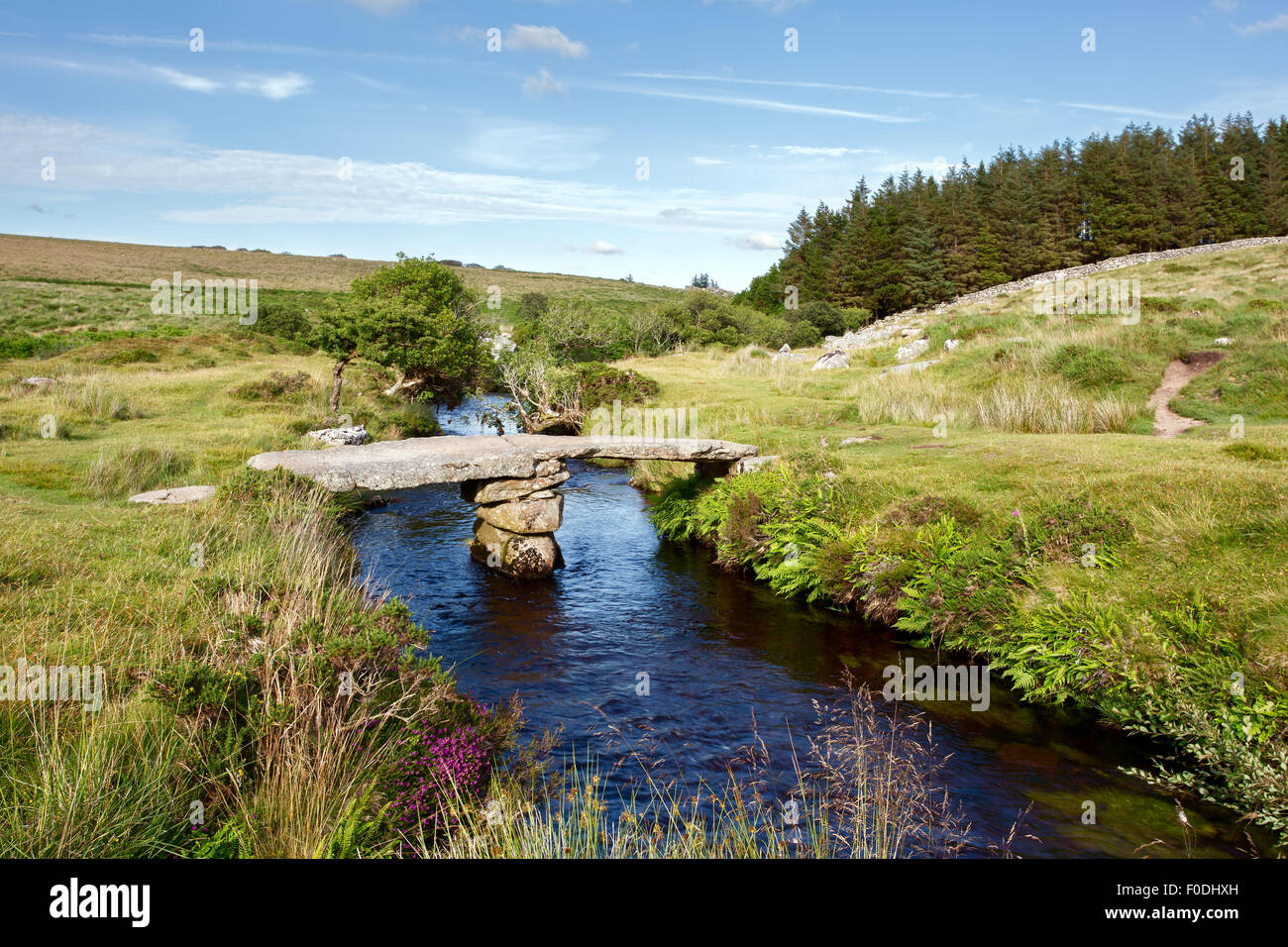 Norden Teign Fluss bei Scorhill Dartmoor Devon Uk Stockfoto