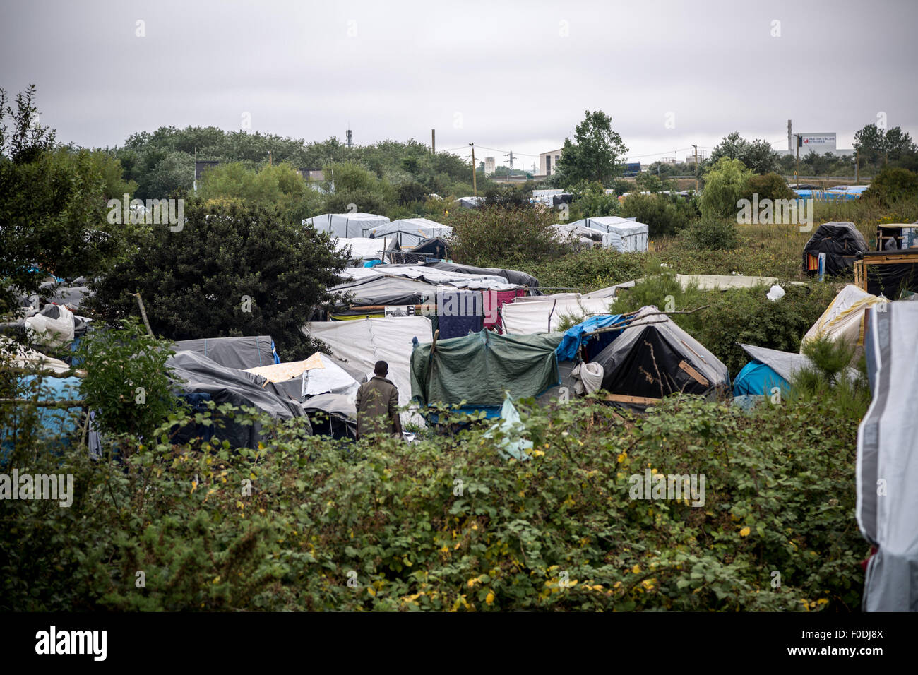 Calais, Frankreich. 12. August 2015. Leben in Calais Migrant 'Dschungel' Credit: Guy Corbishley/Alamy Live-Nachrichten Stockfoto