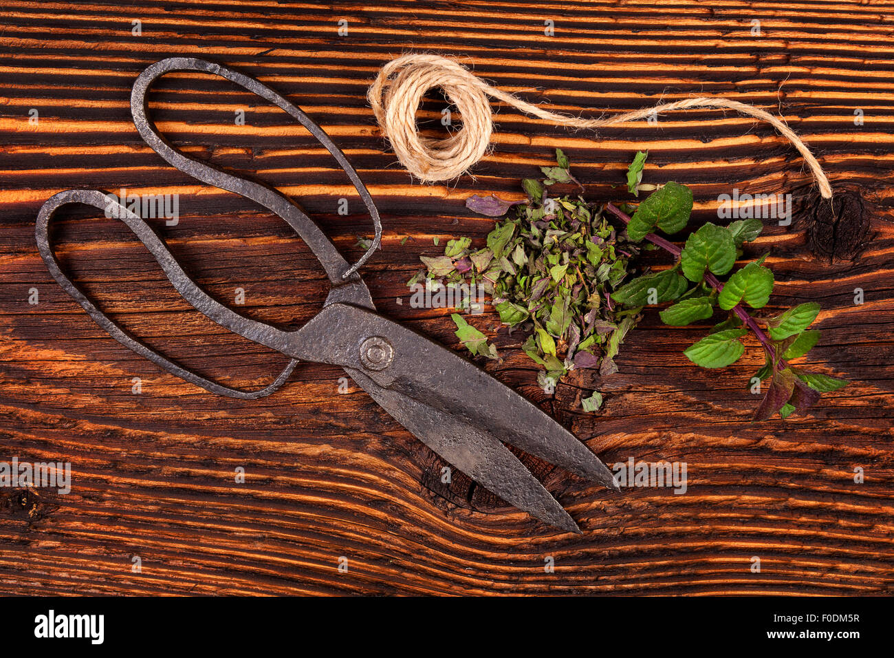 Aromatische Küchenkräuter, frische und getrocknete Minze Kräuter auf hölzernen rustikalen Hintergrund mit alten Vintage Scheren. Stockfoto