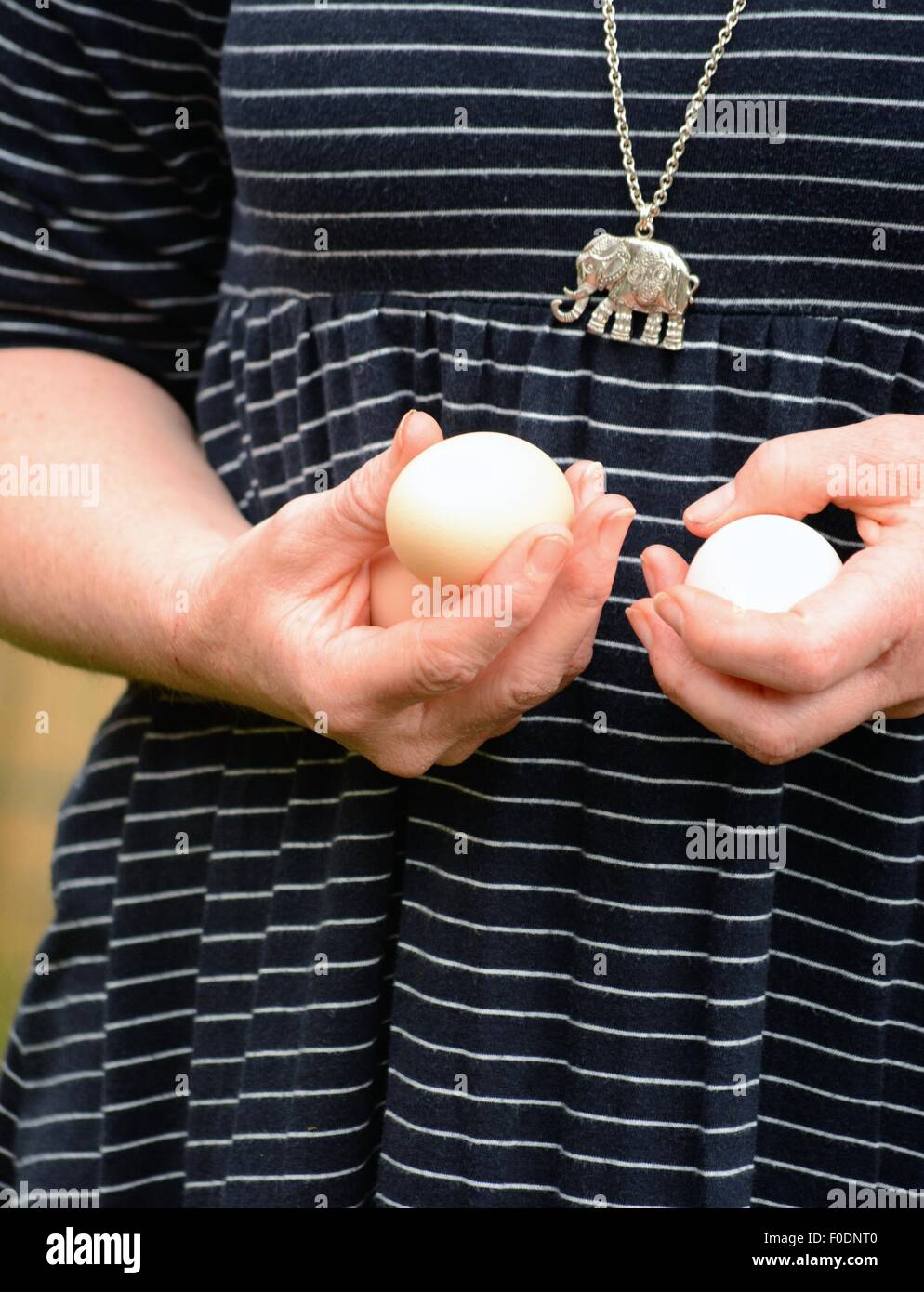 Frau mit zwei Eier von zu Hause Garten inländische Hühner Stockfoto