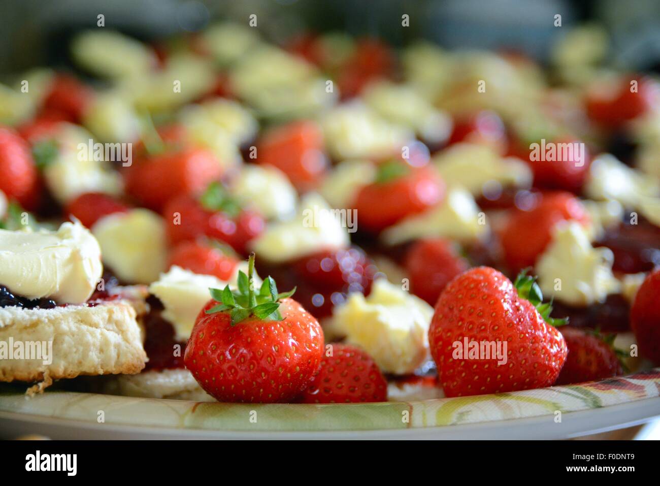 Erdbeeren und Clotted Cream. Party Essen. Stockfoto