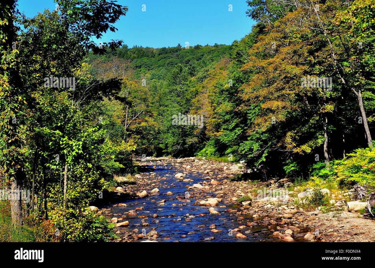 Vermont: Ein Felsen übersäte Fluss fließt entlang der Vermont Routen 35/121 in der Nähe von Grafton * Stockfoto