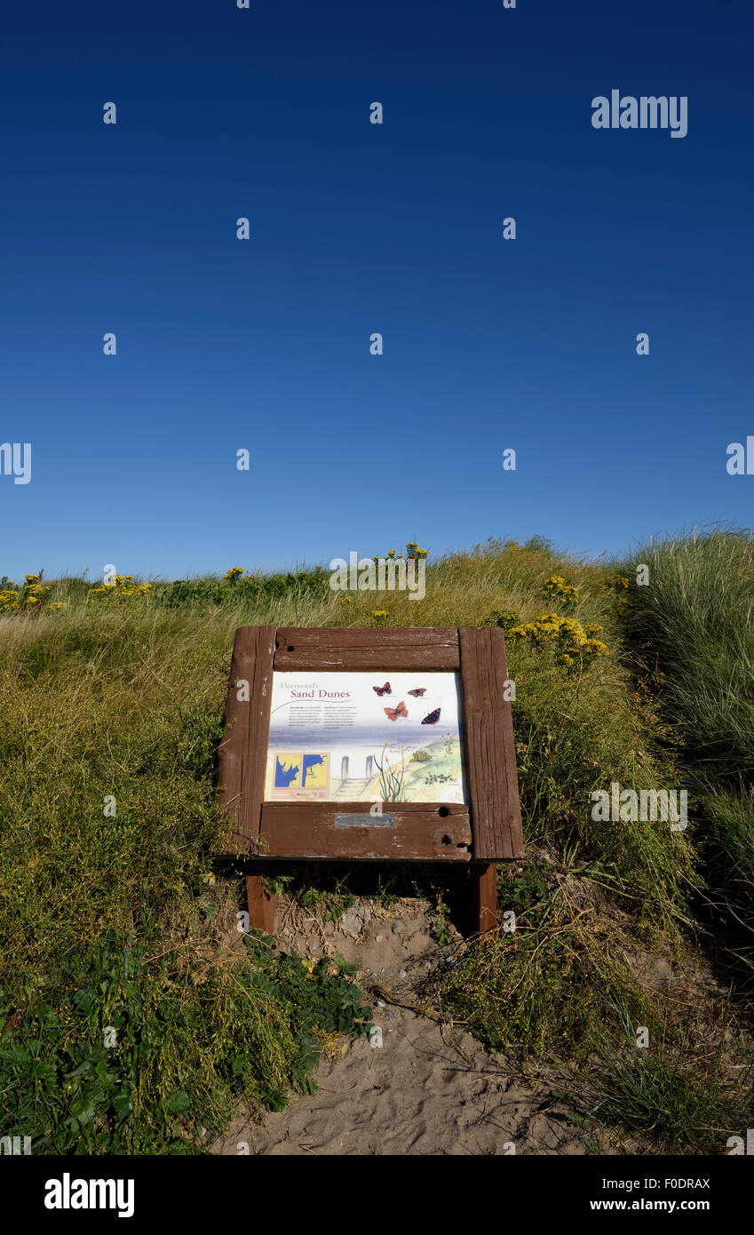Zeichen Darstellung der heimischen Tierwelt vor der Sanddünen am Strand in Fleetwood, Lancashire, Großbritannien Stockfoto