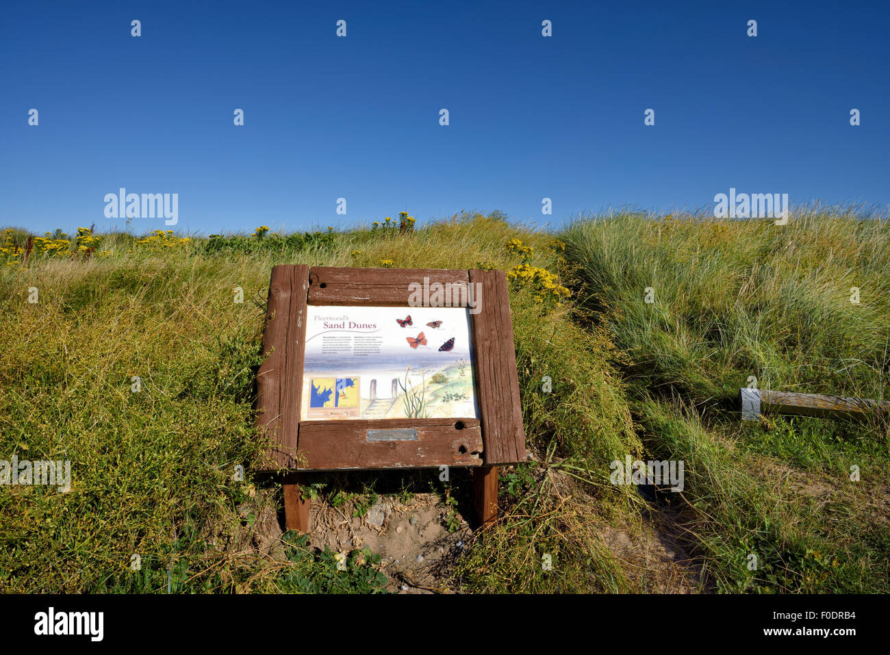Zeichen Darstellung der heimischen Tierwelt vor der Sanddünen am Strand in Fleetwood, Lancashire, Großbritannien Stockfoto