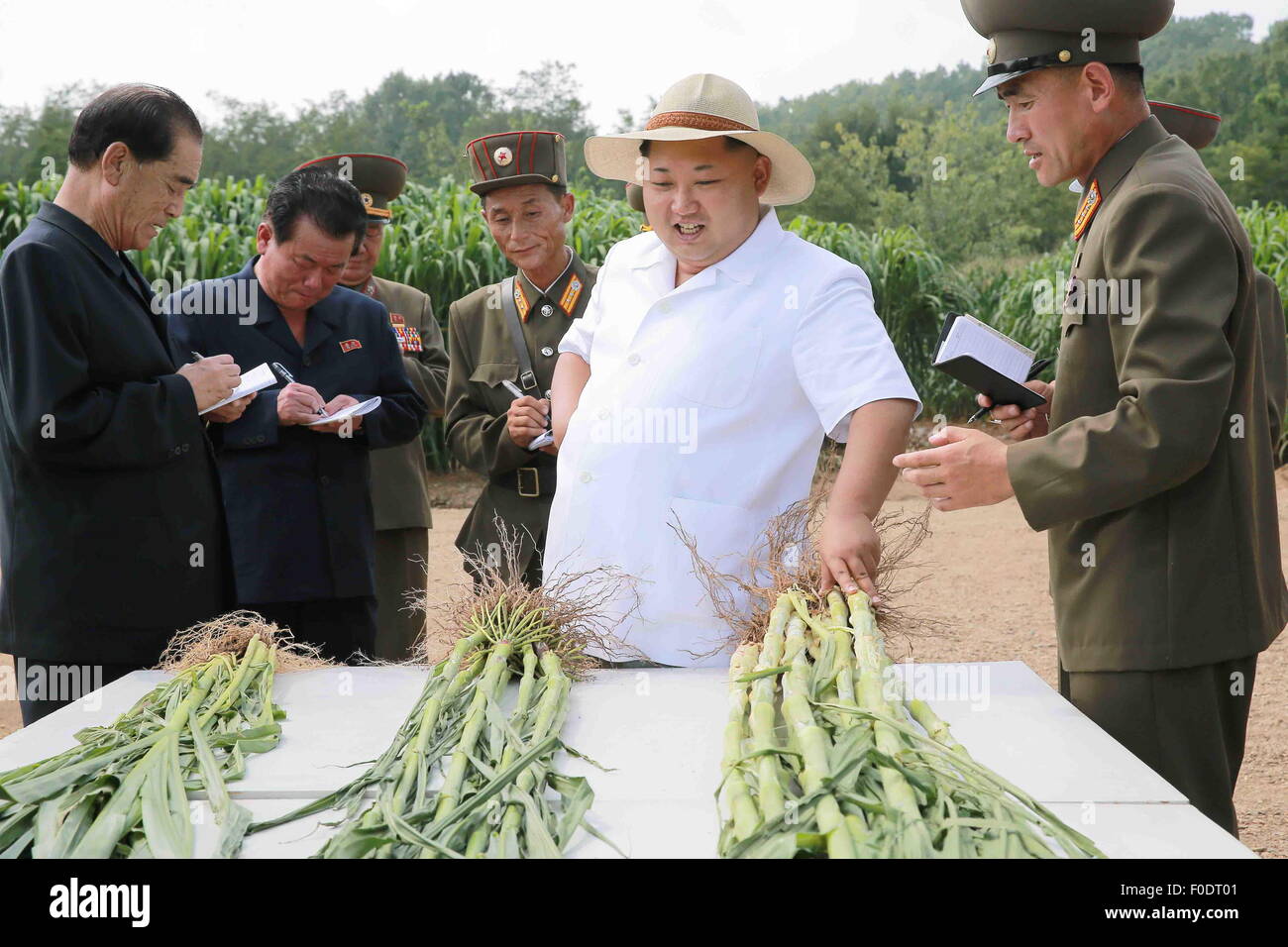 Pyongyang. 13. August 2015. Foto zur Verfügung gestellt von Korean Central News Agency (KCNA) am 13. August 2015 zeigt Top-Leader der Demokratischen Volksrepublik Korea (DVRK) Kim Jong Un (C) Ort-Anleitung der Farm Nr. 1116 unter das koreanische Volk Armee (KPA) vor kurzem geben Einheit 810. © KCNA/Xinhua/Alamy Live-Nachrichten Stockfoto