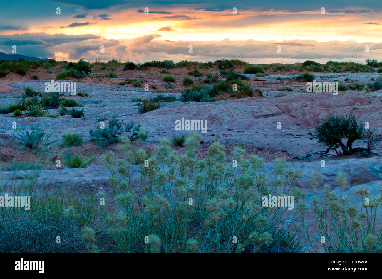 Wüste Sonnenuntergang Utah Landschaft Grand Staircase Escalante Nationalmonument Stockfoto