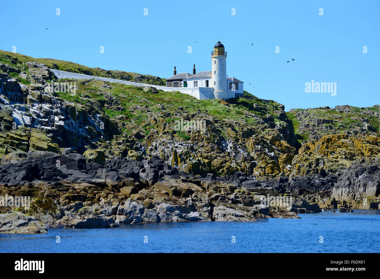 Unteren Leuchtturm auf Scottish National Nature Reserve auf der Isle of May, Firth of Forth, Schottland Stockfoto