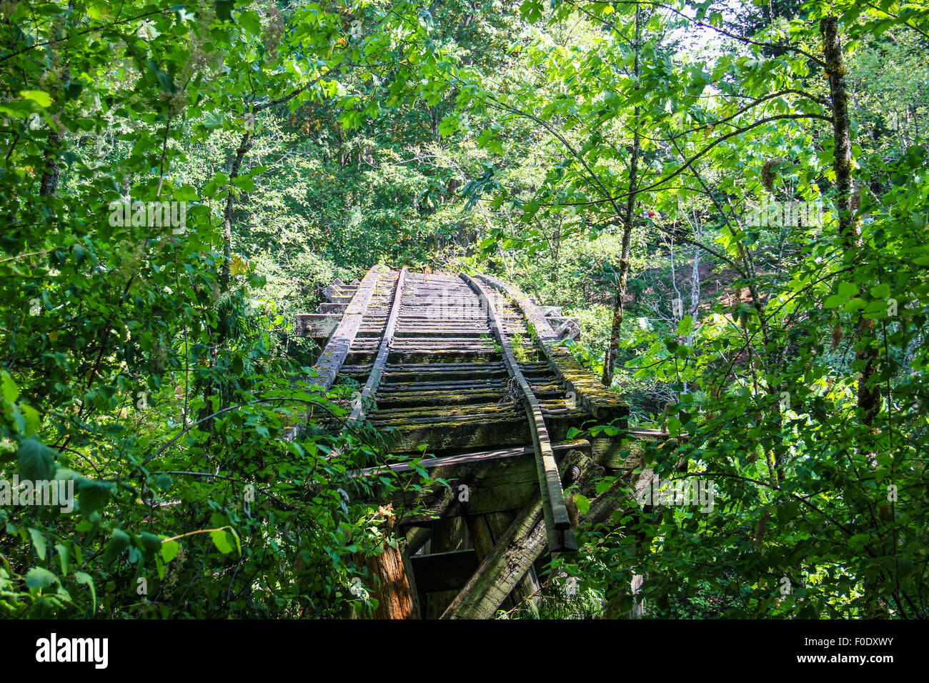 Brücke ins Nirgendwo Stockfoto