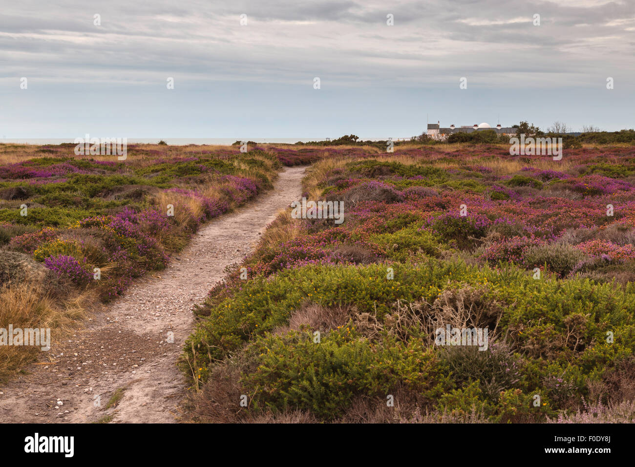 Götterdämmerung am Dunwich Heath Blickrichtung Coastguard Cottages Stockfoto