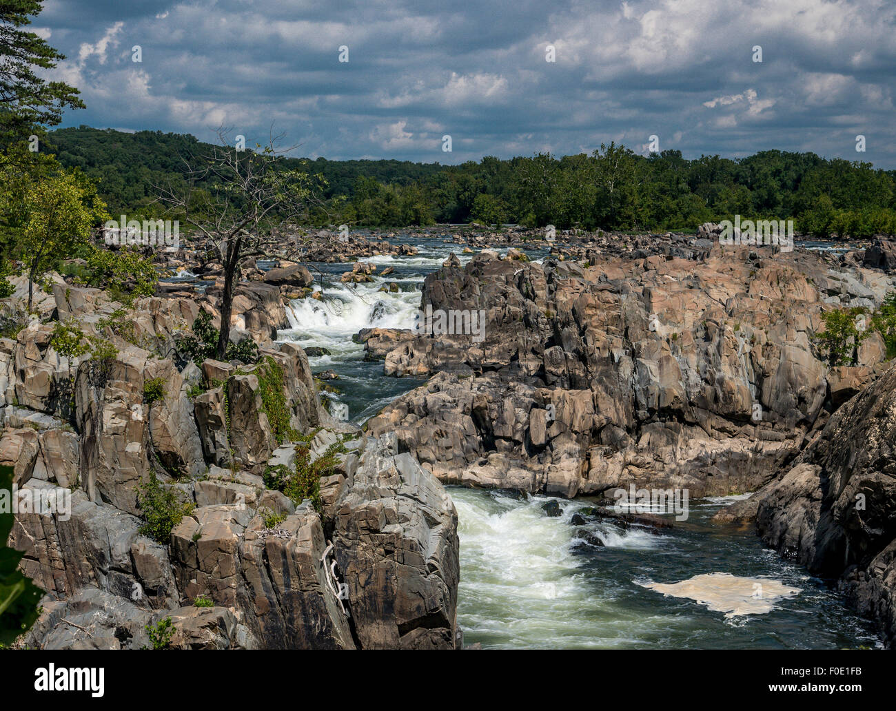 Potomac River in den Stromschnellen des Great Falls National Park, Great Falls, Virginia Stockfoto