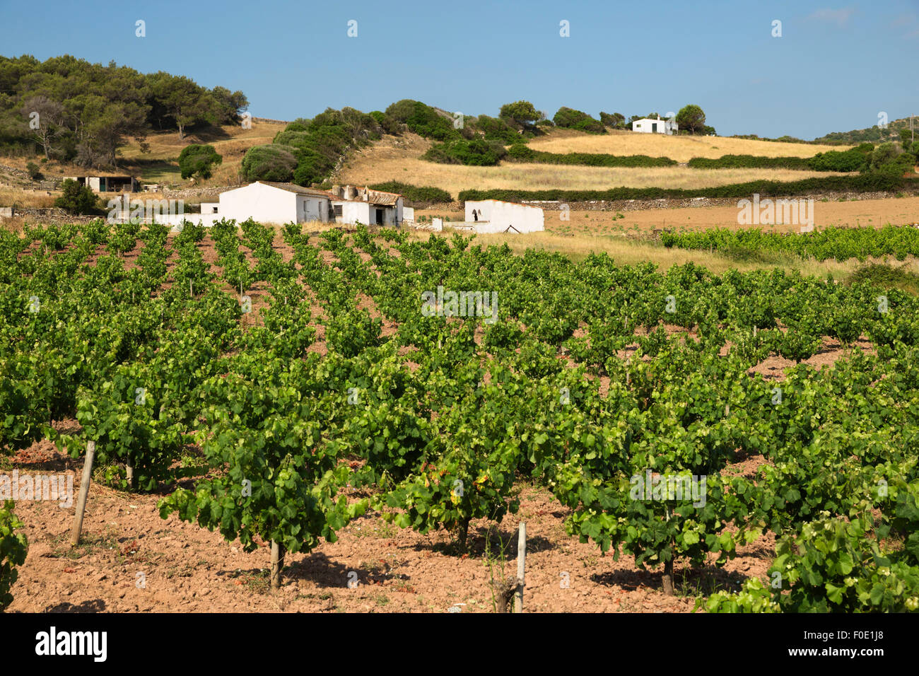 Landwirtschaft Menorca Stockfotos Und Bilder Kaufen Alamy