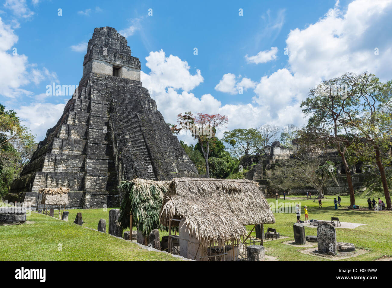 Nationalpark Tikal in Guatemala Stockfoto