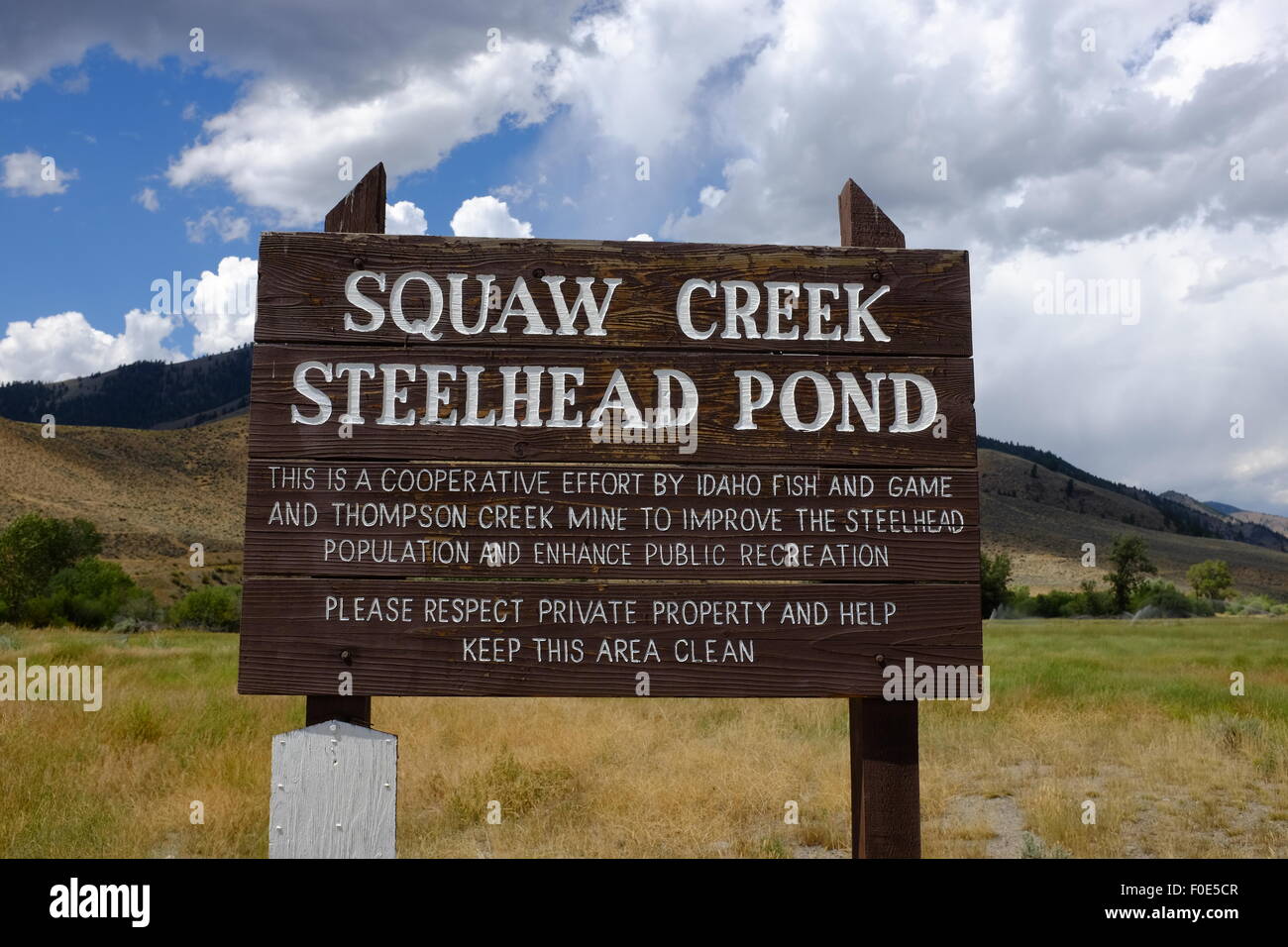 Die Steelhead-Teich in der Nähe von Clayton, Idaho Stockfoto