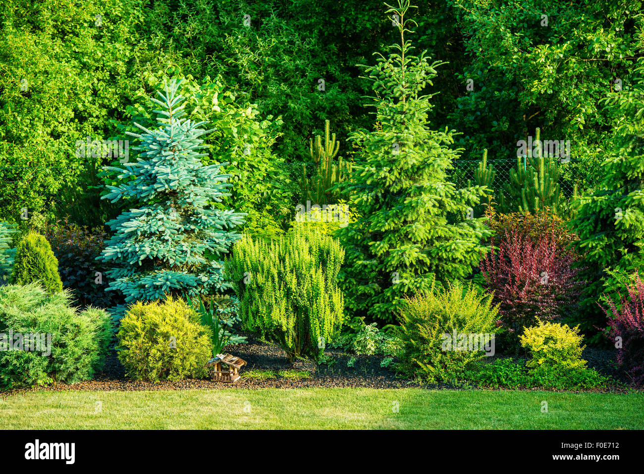 Garten mit verschiedenen Baumarten. Gartenarbeit-Thema. Stockfoto