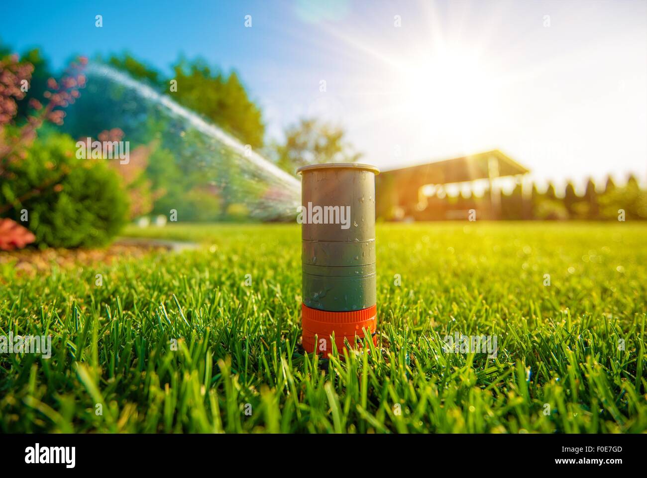 Rasensprenger in Aktion. Bewässerung Rasen Garten Sprinkler. Automatische Sprinkler. Stockfoto