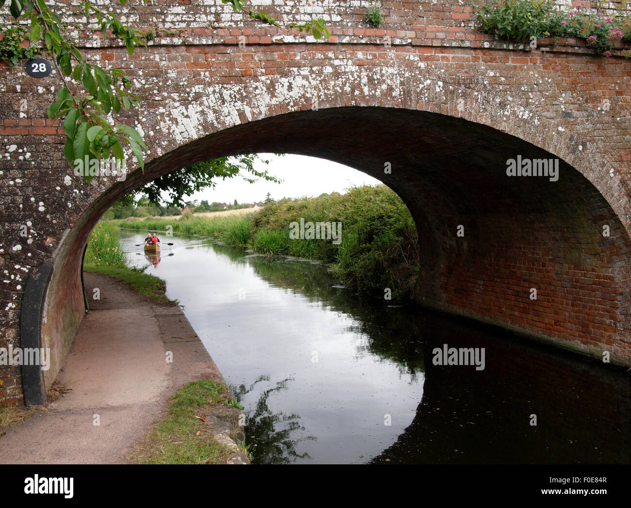 Brücke Nr. 28 der Bridgwater und Taunton Kanal, Somerset, Großbritannien Stockfoto