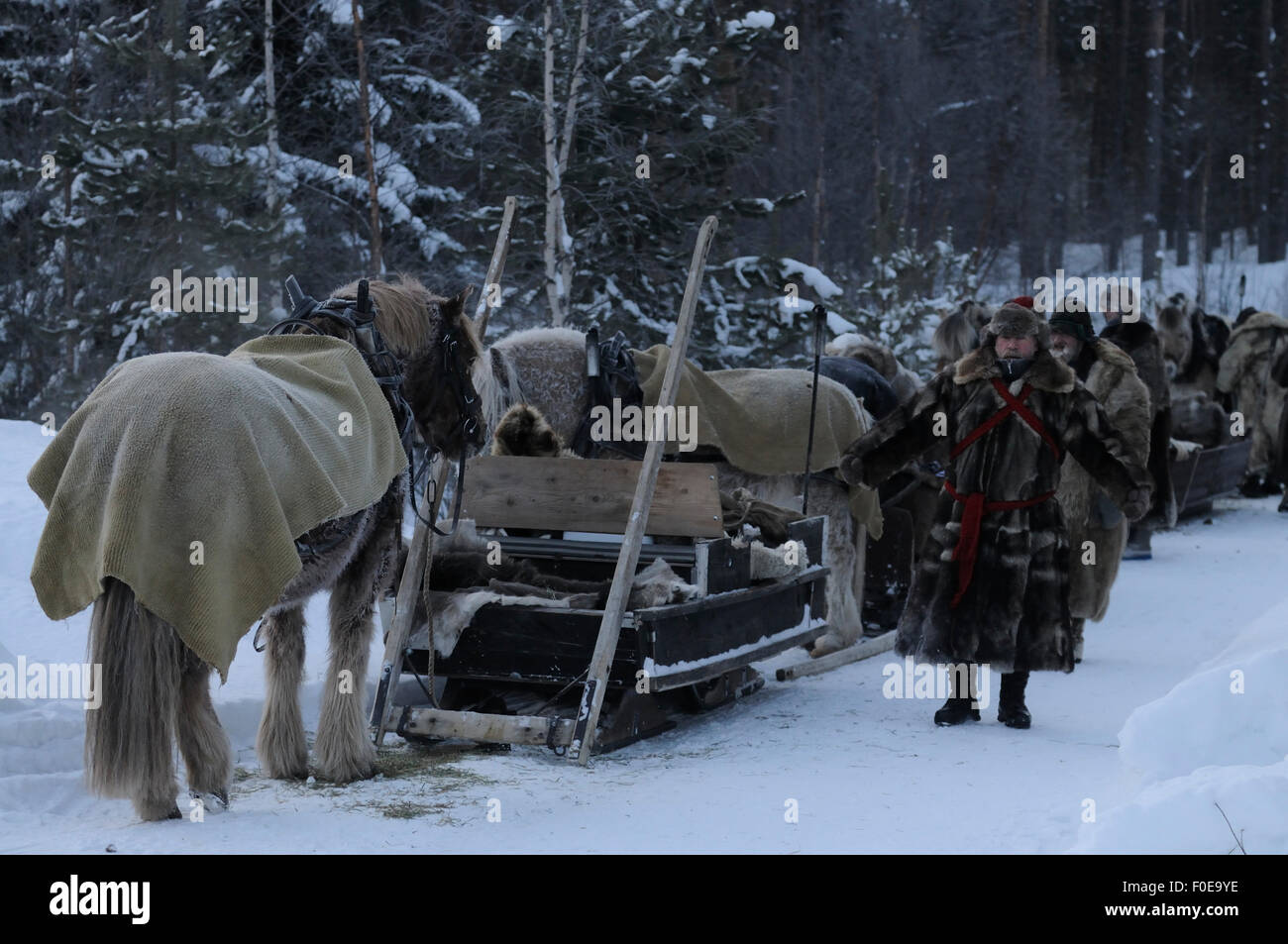 Menschen Sie wandern und Reisen mit Pferd und Schlitten Sie, Roros Markt, begann im Jahre 1854. Aussteller und Verkäufer kommen aus weiter Ferne,-35 Grad Celsius, Dovrefjell Nationalpark, Norwegen, Februar 2009 Stockfoto