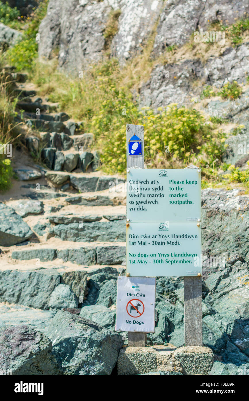 Schritte bis auf Llanddwyn Island, Isle of Anglesey, North Wales, UK am 7. August 2015. Stockfoto