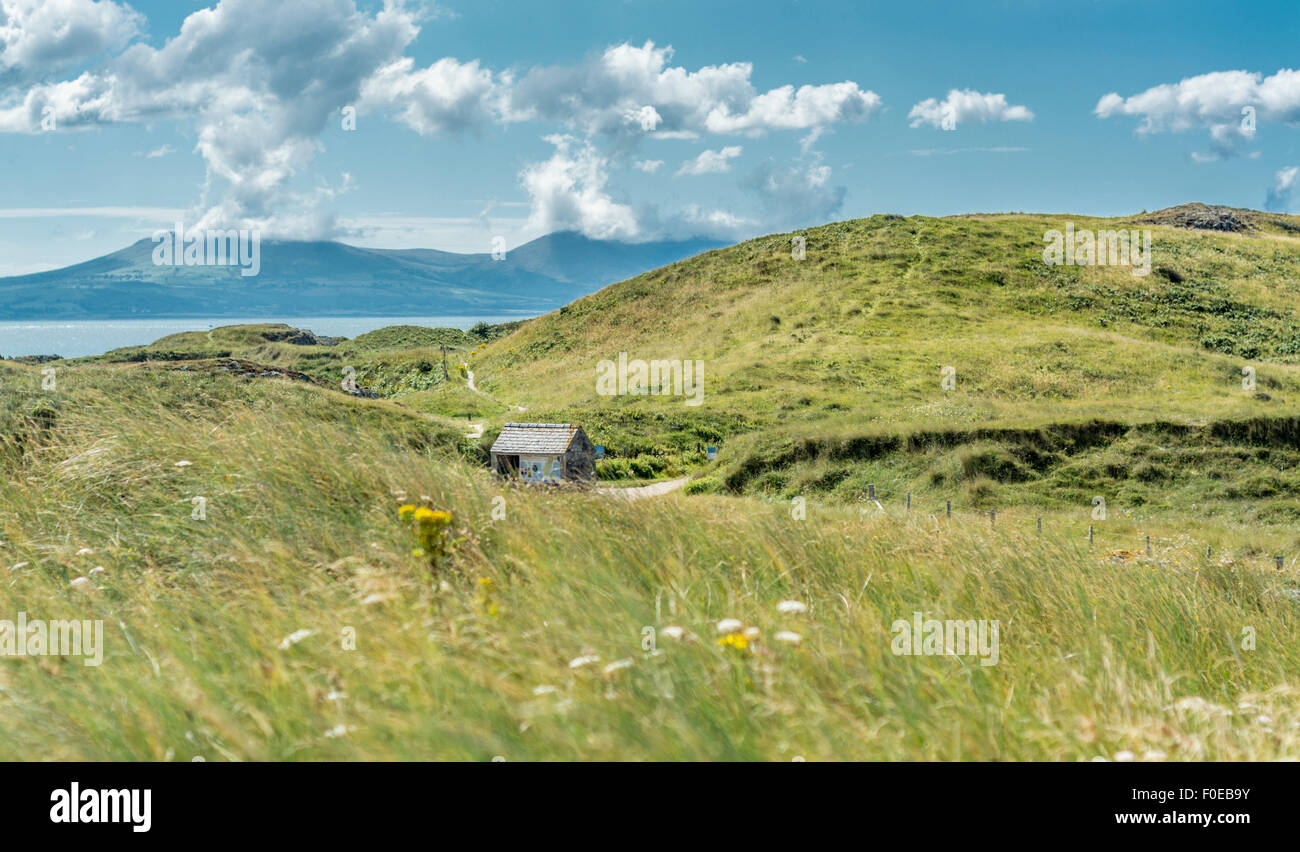 Ansicht von Llanddwyn Island, Isle of Anglesey, North Wales, UK am 7. August 2015. Stockfoto