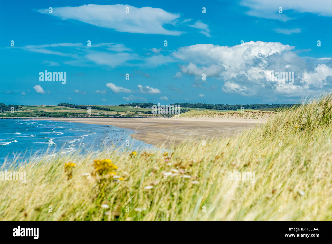 Blick von Llanddwyn Island, Isle of Anglesey, North Wales, UK am 7. August 2015 in Richtung Maltraeth. Stockfoto