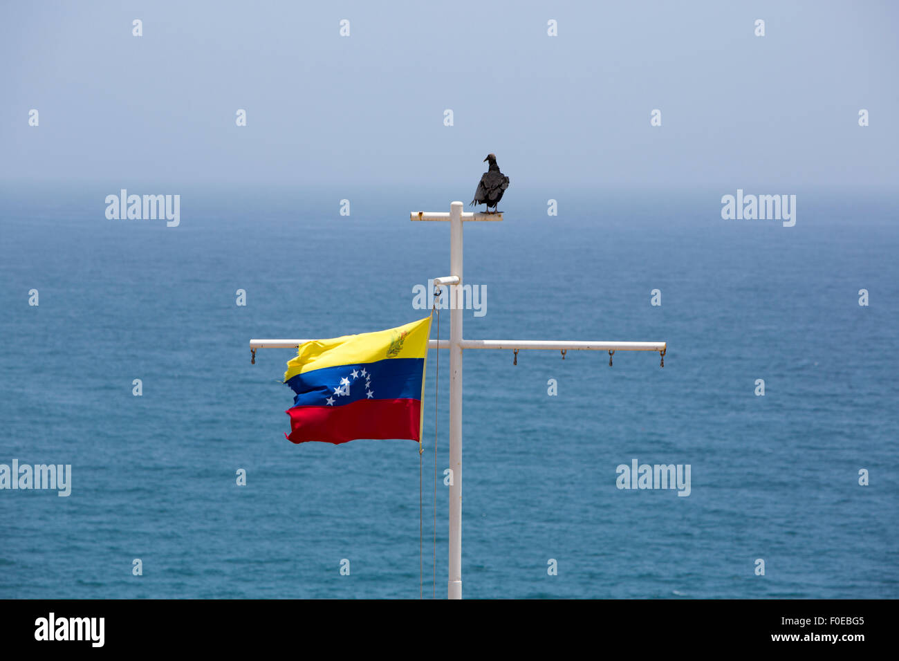 Wehende Flagge von Venezuela mit Vogel, Blick auf den Ozean. Insel Margarita. Venezuela Stockfoto