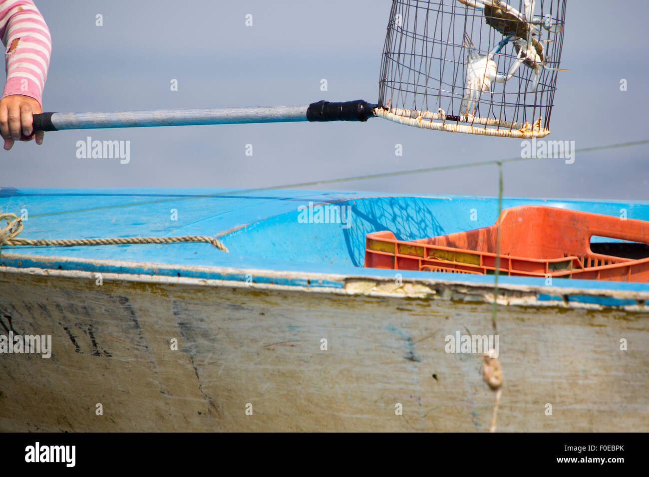 Fisher-Mann bei der Arbeit, die Krabben aus seiner Perche auf dem Maracaibo-See zu entfernen. Berühmt für seine Krabbe-Fischerei. Stockfoto