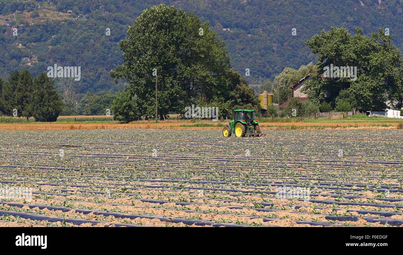 Traktor im Feld in einer ländlichen Gemeinde Stockfoto