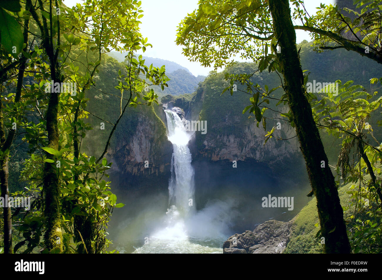 San Rafael fällt. Der größte Wasserfall in Ecuador Stockfoto