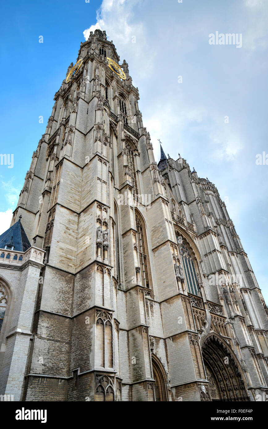 Blick auf den Turm der Kathedrale von Notre-Dame in Antwerpen, Belgien. Stockfoto