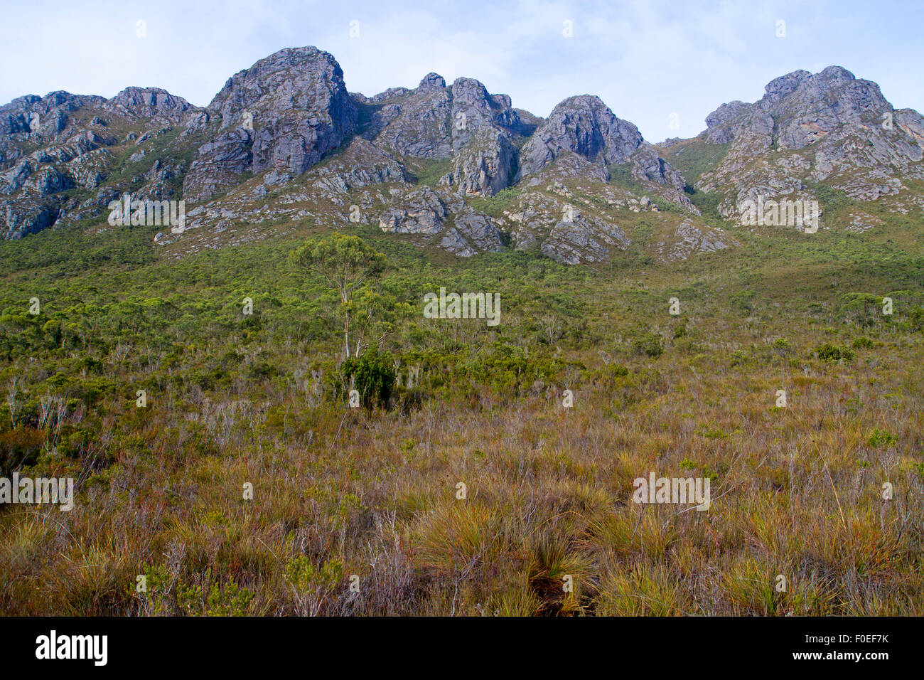 Der Sentinel Range im Southwest-Nationalpark Stockfoto