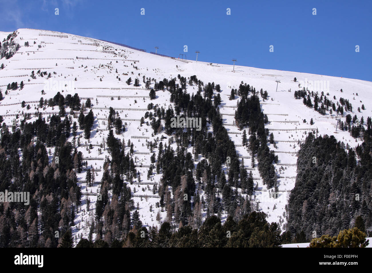 Skifahren in den Dolomiten, Val di Fiemme, Italien. Stockfoto