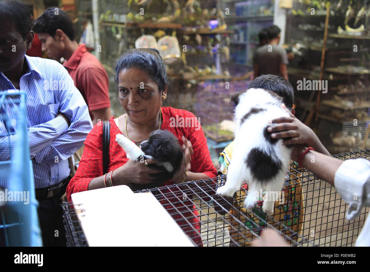 Mumbai, Maharashtra. 6. April 2014. 6. April 2014, Mumbai - India.Customers im Tier & Vogel Shop Crawford Market am Mumbai.Crawford Markt ist der größte in Mumbai und enthält dem letzten Hauch des britischen Bombay.The Crawford Market Häuser ein Großmarkt Obst, Gemüse und Geflügel. Ein Ende des Marktes ist eine Tierhandlung. In diesem Bereich finden Sie verschiedene Sorten von Hunden, Katzen und Vögel. Die meisten Verkäufer in den Markt eingeführten Gegenstände wie Nahrungsmittel, Kosmetik, Haushalt und Geschenkartikel zu verkaufen. Es war der größte Großhandelsmarkt für Früchte in Mumbai bis März 1996, wenn der Stockfoto