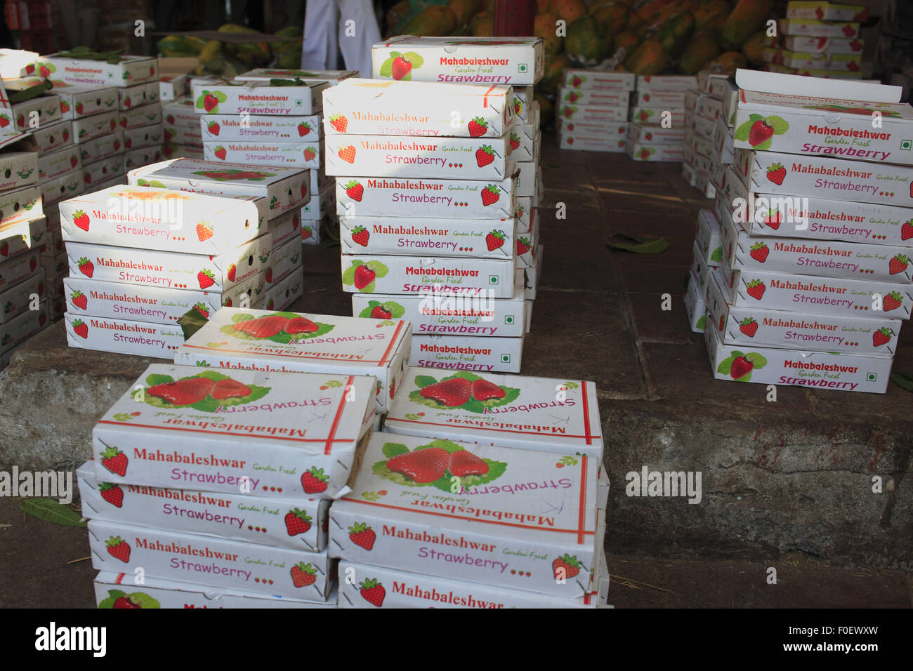 Mumbai, Maharashtra. 4. April 2014. 4. April 2014, Mumbai - India.Strawberry Boxen bei Crawford Market.Crawford Markt ist der größte in Mumbai und enthält dem letzten Hauch des britischen Bombay.The Crawford Market Häuser ein Großmarkt Obst, Gemüse und Geflügel. Ein Ende des Marktes ist eine Tierhandlung. In diesem Bereich finden Sie verschiedene Sorten von Hunden, Katzen und Vögel. Die meisten Verkäufer in den Markt eingeführten Gegenstände wie Nahrungsmittel, Kosmetik, Haushalt und Geschenkartikel zu verkaufen. Es war der größte Großhandelsmarkt für Früchte in Mumbai bis März 1996, als die Großhändler Relo waren Stockfoto