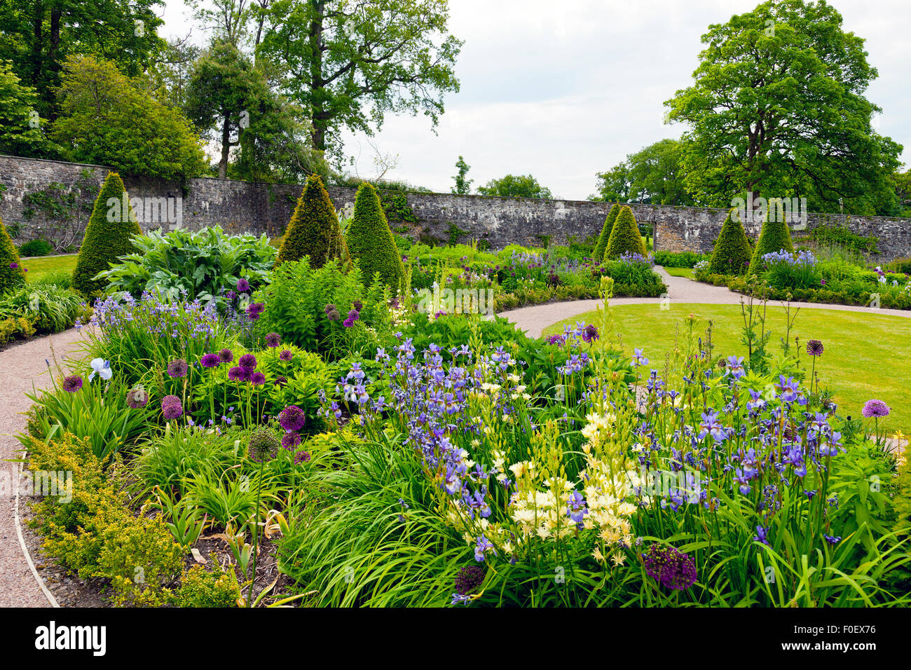 Die kreisförmigen Grenzen im oberen ummauerten Garten am Aberglasney, Carmarthenshire, Wales, UK Stockfoto