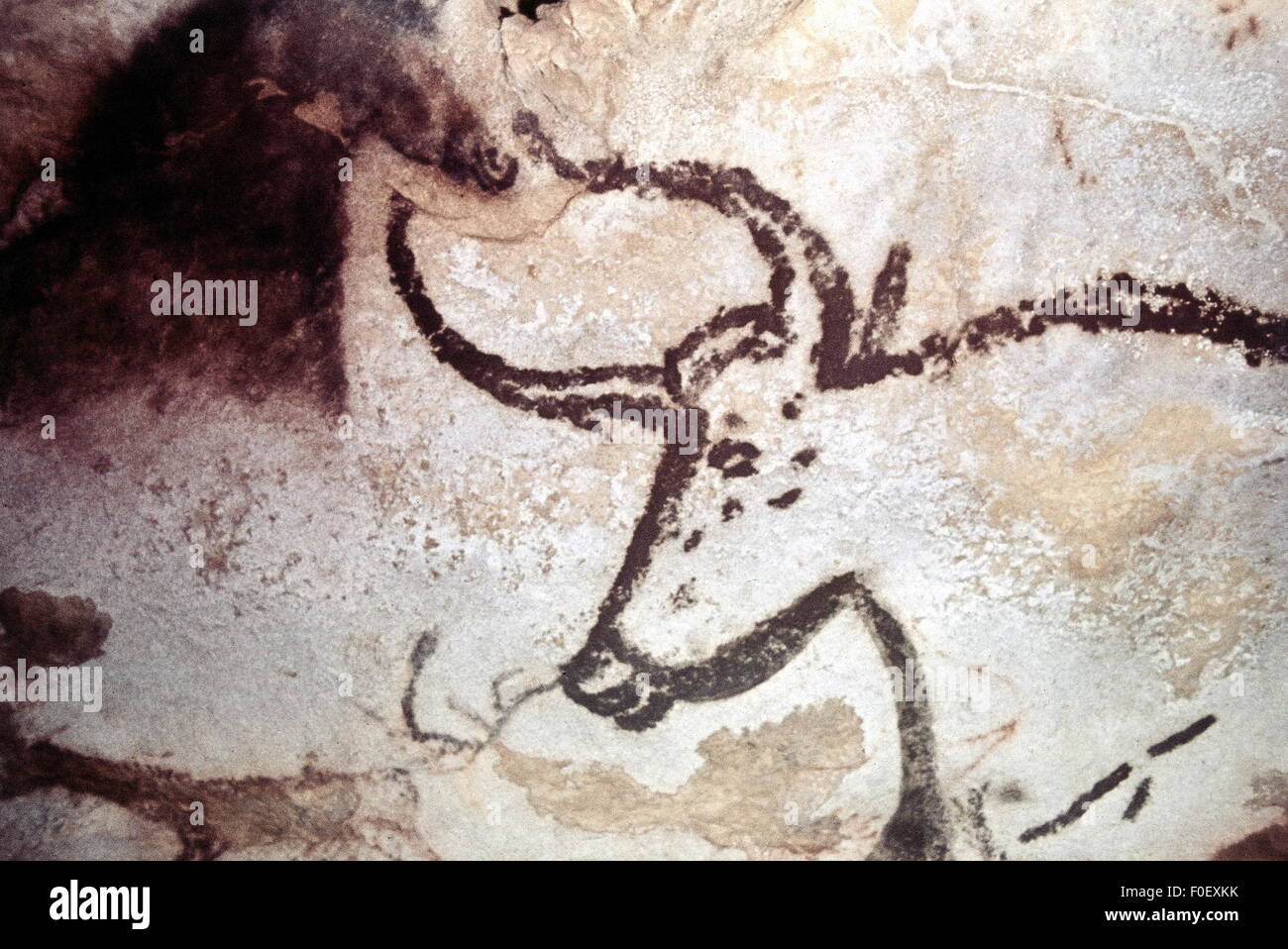 vorgeschichte,Höhlenmalerei,Lascaux,Höhlenmalerei in prähistorischer Höhle in der Nähe von Lascaux,Frankreich,bemalte Kuh,oberes Paläolithikum,circa 40000 - 10000 v. Chr.,Steinzeit,Höhlenmalerei,Kunst der Malerei,prähistorische bildende Kunst,Dordogne,Paläolithikum,Altsteinzeit Wandmalerei,altes Steinalter, UNESCO Weltkulturerbe,Weltkulturerbe,Weltkulturerbe,Antike Wallpainting,Wandmalereien,Höhlenmalereien,Kunst,Wandmalereien,Wandmalereien,Kunst,Wandmalereien,Höhlenmalereien,Wandmalereien,Kunst,Wandmalereien,Kunst,Wandmalereien,Kunst,Wandmalereien,Wandmalereien,Kunst,Höhlenmalereien,Wandmalereien,Kunst,Wandmalereien Stockfoto