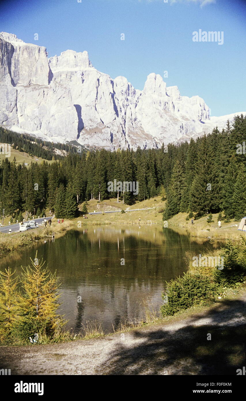 Geographie / Reisen, Italien, Südtirol, Dolomiten, Berge, Sellagruppe, Bergkette und Wald mit Wiese, 1970, Zusatz-Rechte-Clearences-nicht vorhanden Stockfoto