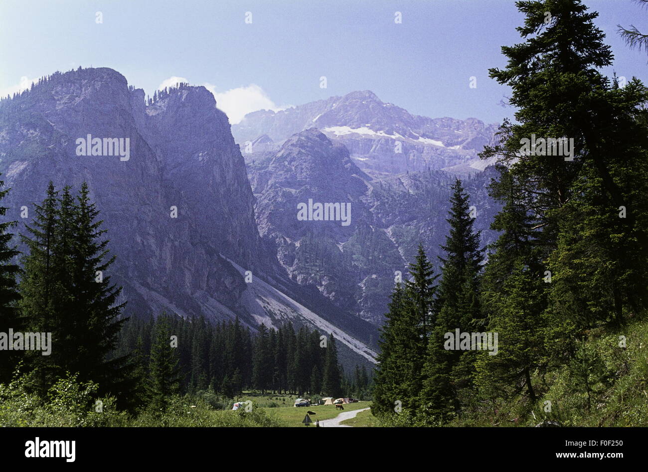 Geographie / Reisen, Italien, Südtirol, Landschaften, Plätzwiese, Toblach, 1964, Additional-Rights-Clearences-not available Stockfoto