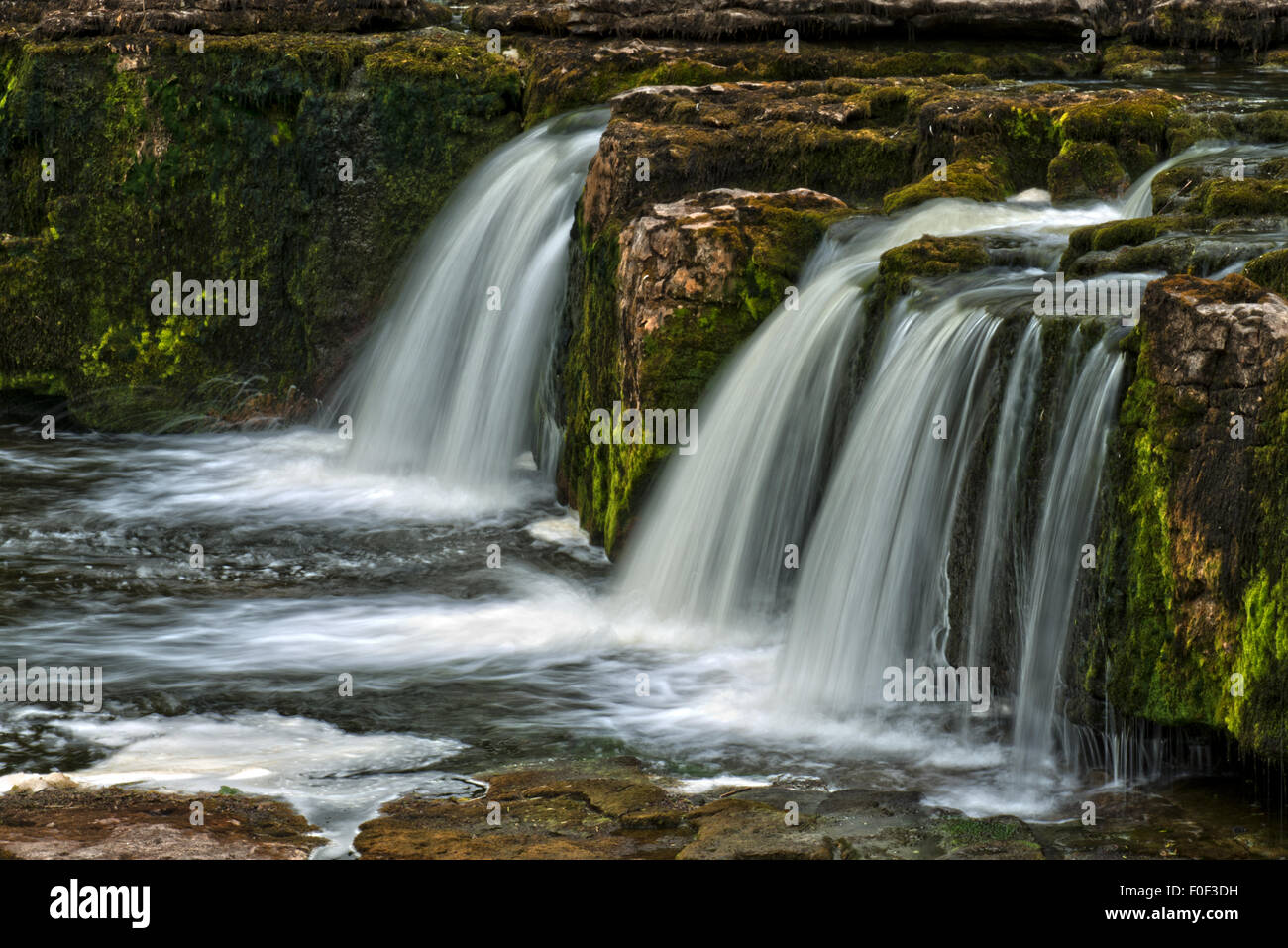 Die Upper Falls auf dem Fluß Ure in Aysgarth, Yorkshire Dales National