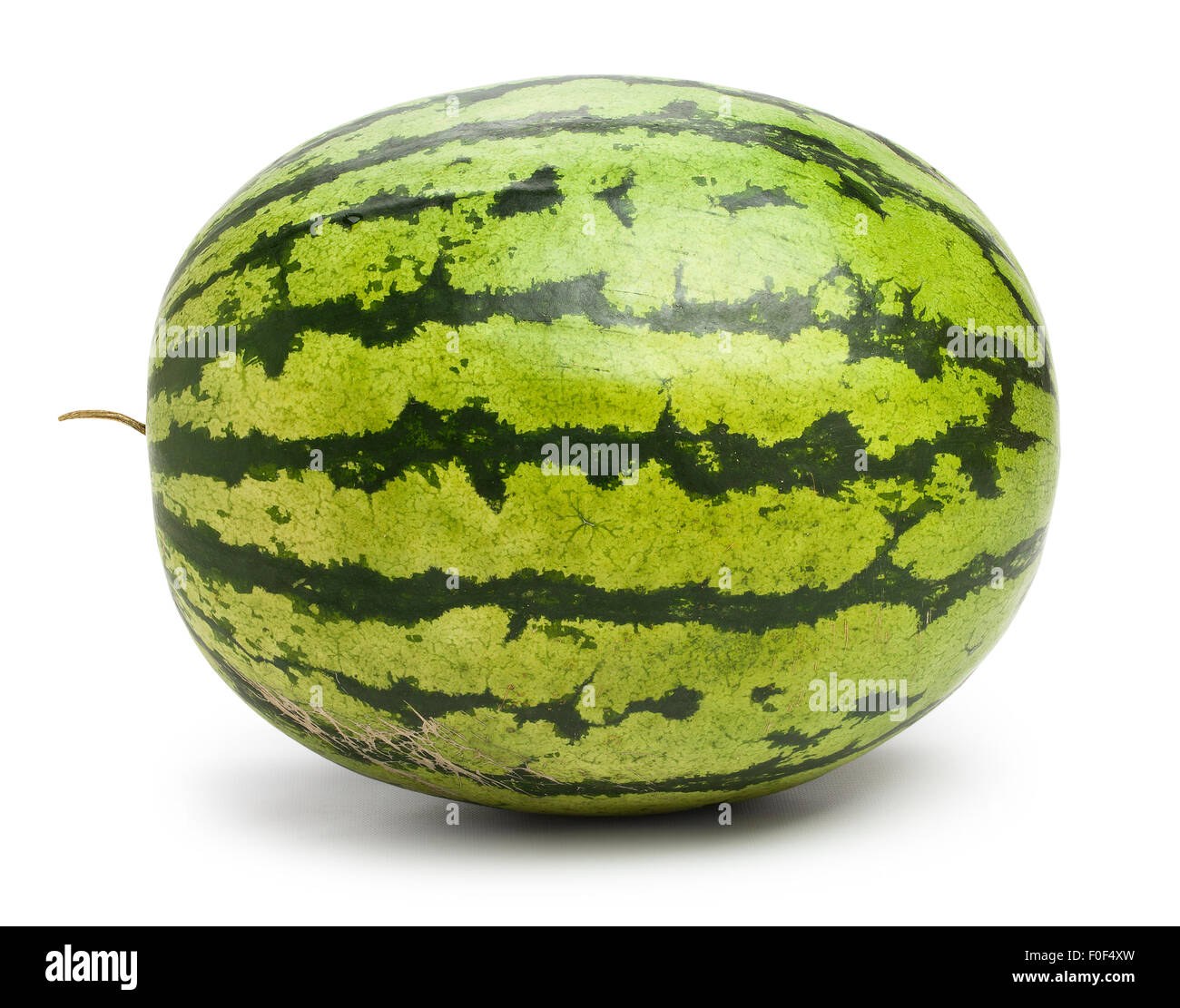 Wassermelone isoliert Stockfoto