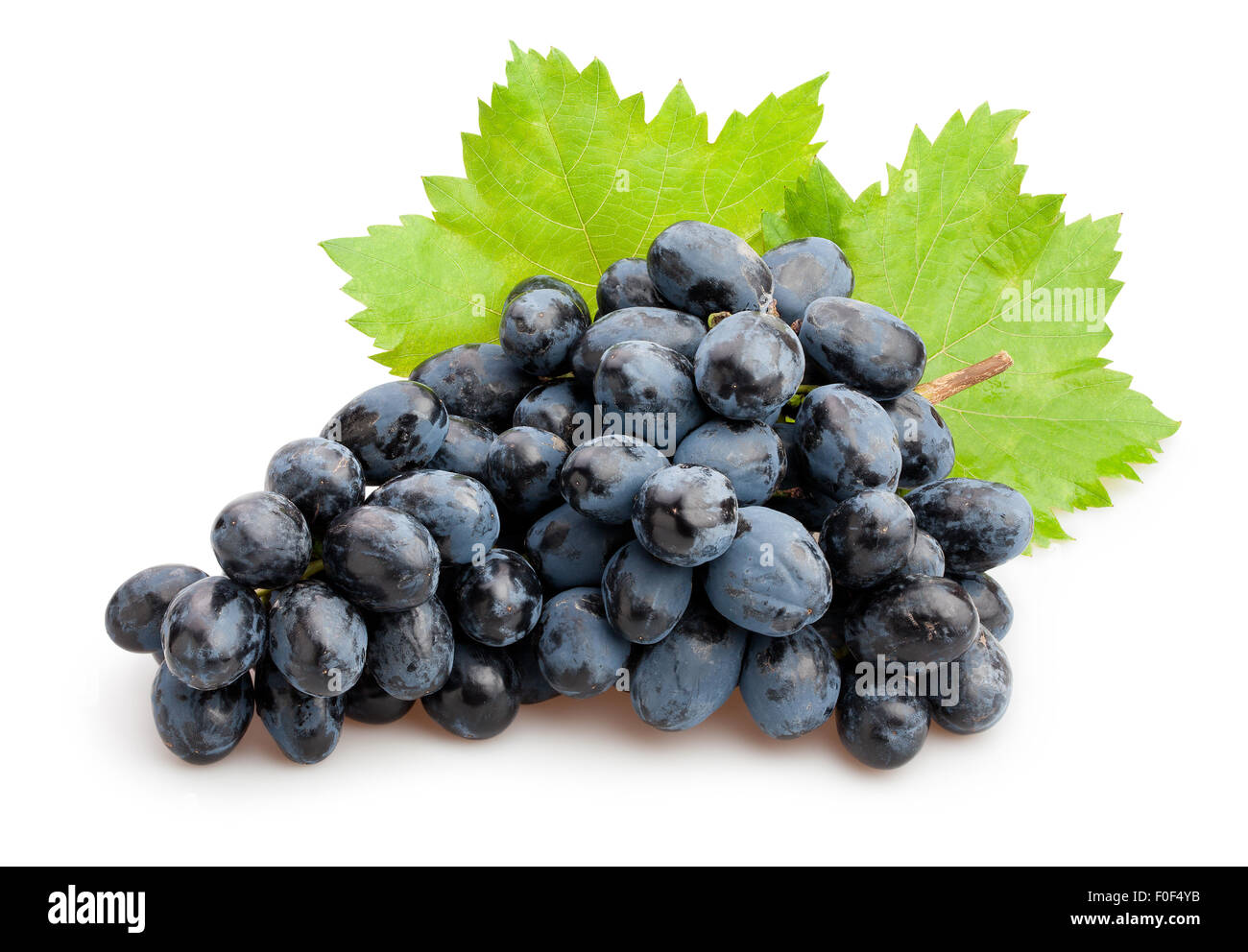 schwarzen Trauben isoliert Stockfoto