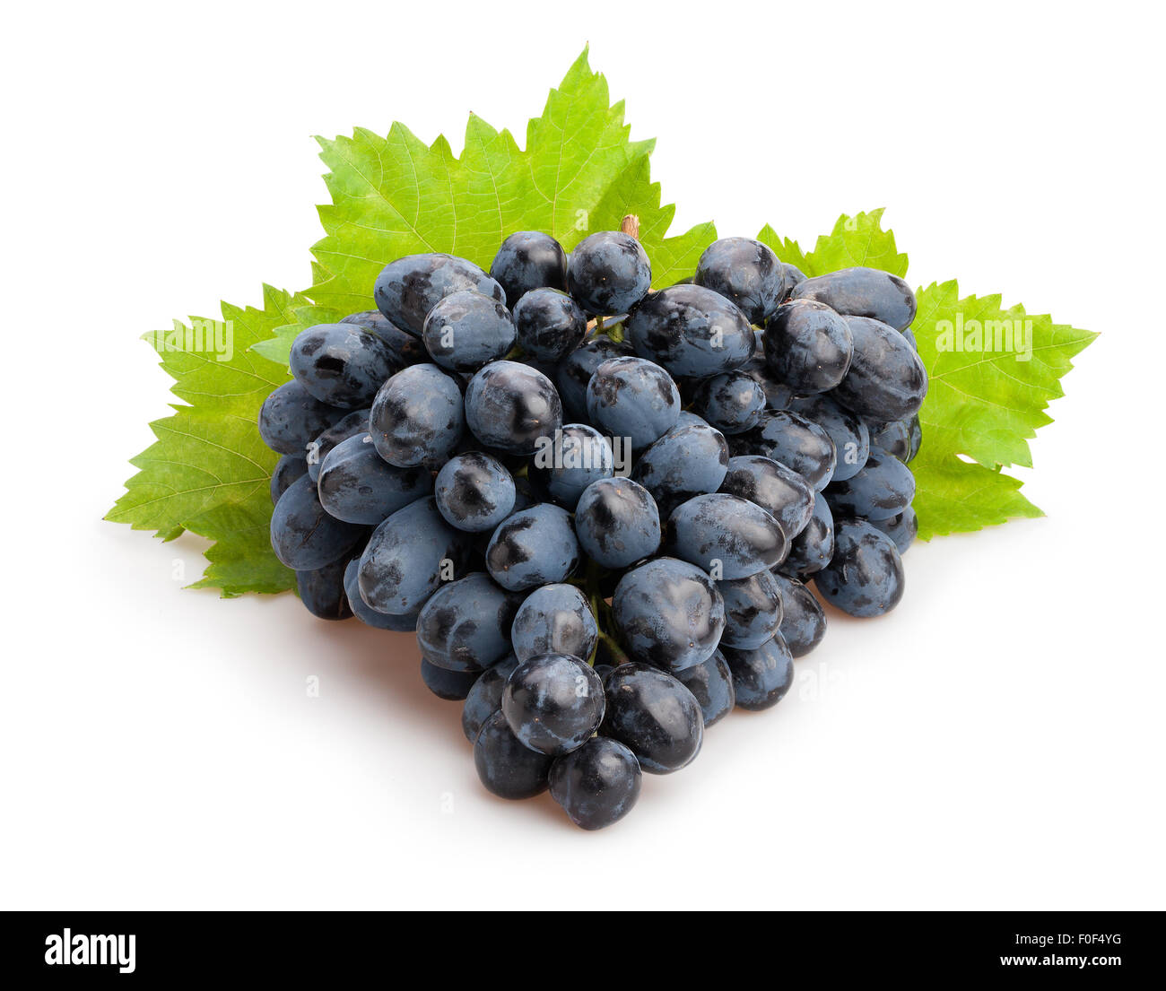 schwarzen Trauben isoliert Stockfoto