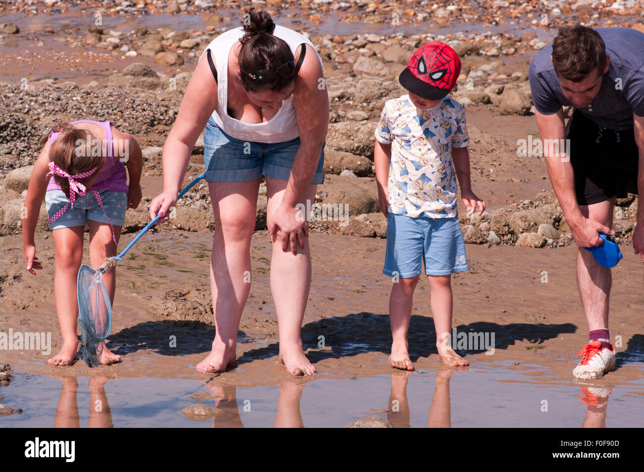 Familie von 4 Rockpooling auf einen Tag am Strand Stockfoto