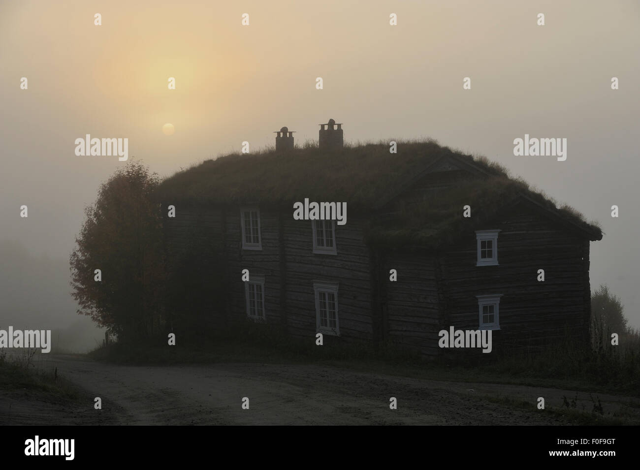 Traditionelles Bauernhaus mit Grasdach, im Nebel, Forollhogna Nationalpark, Norwegen, September 2008 Stockfoto