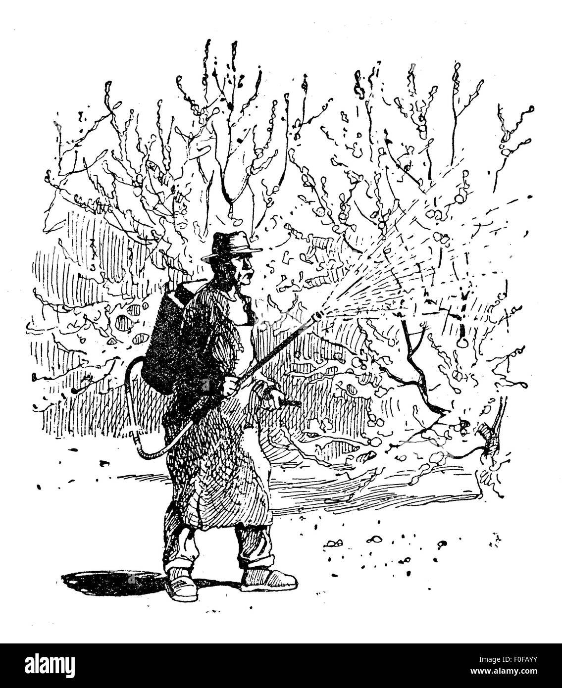 Gartenbau-Gravur - Bauer sprüht Bordeaux-Mischung auf Obstbäumen im Obstgarten. Bordeaux-Mischung ist eine Mischung aus Kupfersulfat (CuSO4) und gelöschtem Kalk (Ca(OH)2) und dient in Gärten, Weinberge und Obstplantagen Befall zu verhindern. Stockfoto