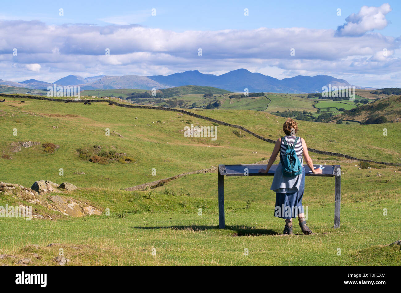 Frau in Richtung Scafell Pike von hoad Hill, Ulverston, South Lakeland, Cumbria, England, UK suchen Stockfoto