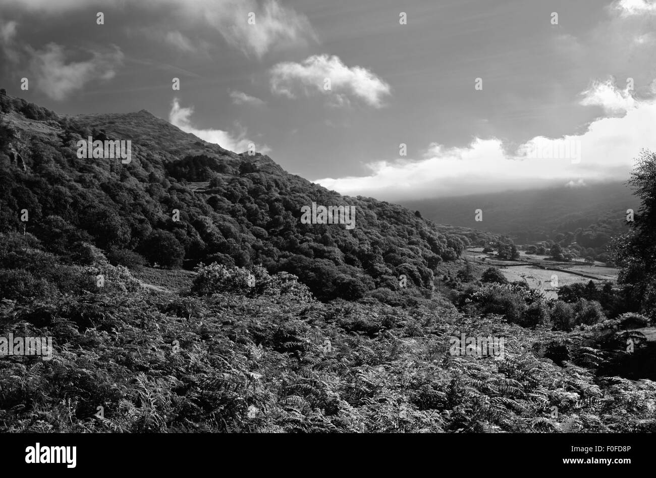 Atemberaubende schwarze und weiße Landschaften des Mount Snowden und Snowdonia Umgebung. Stockfoto