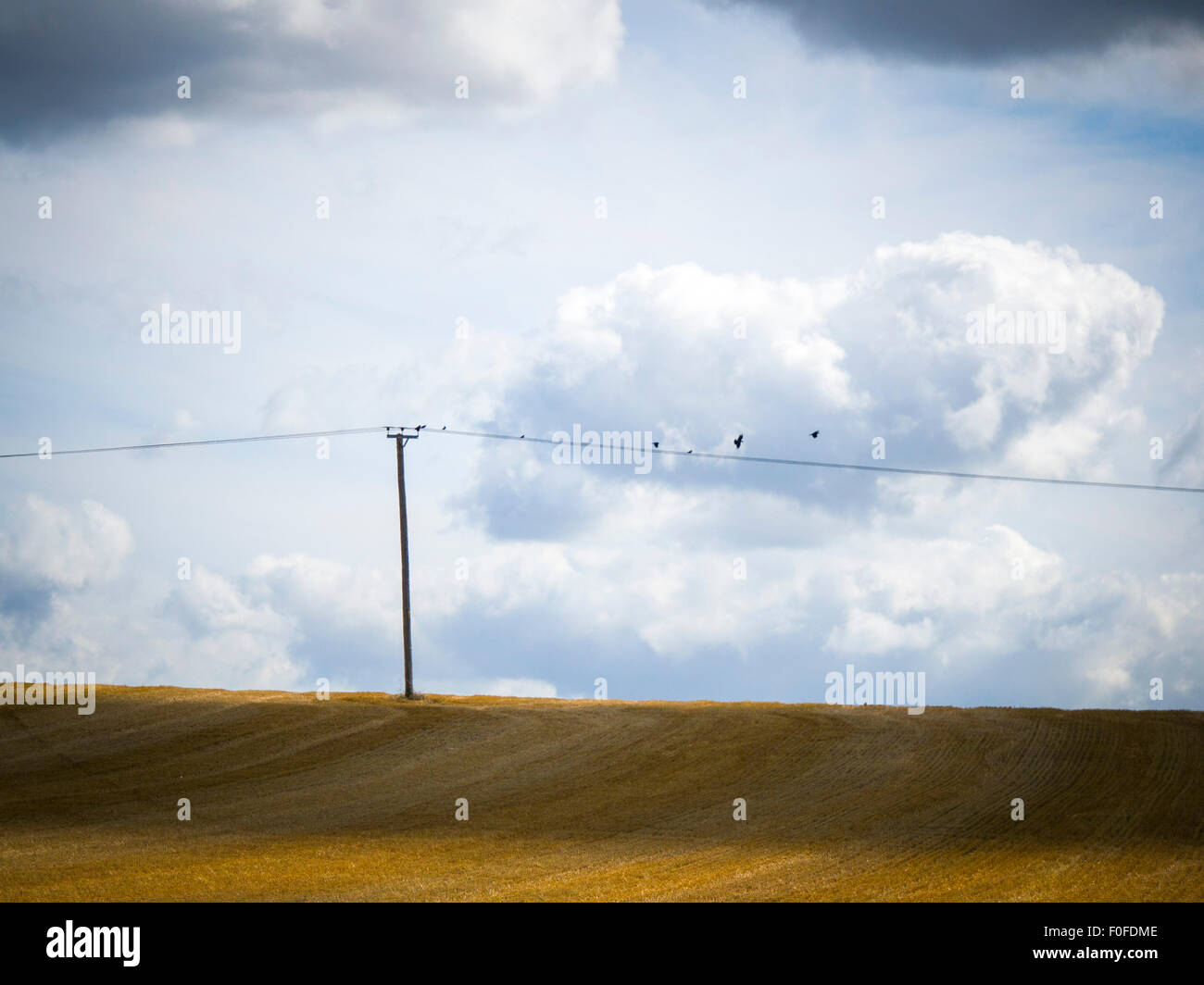 Kürzlich geernteten Feld mit Telegrafenmast und einem dramatischen Himmel Stockfoto