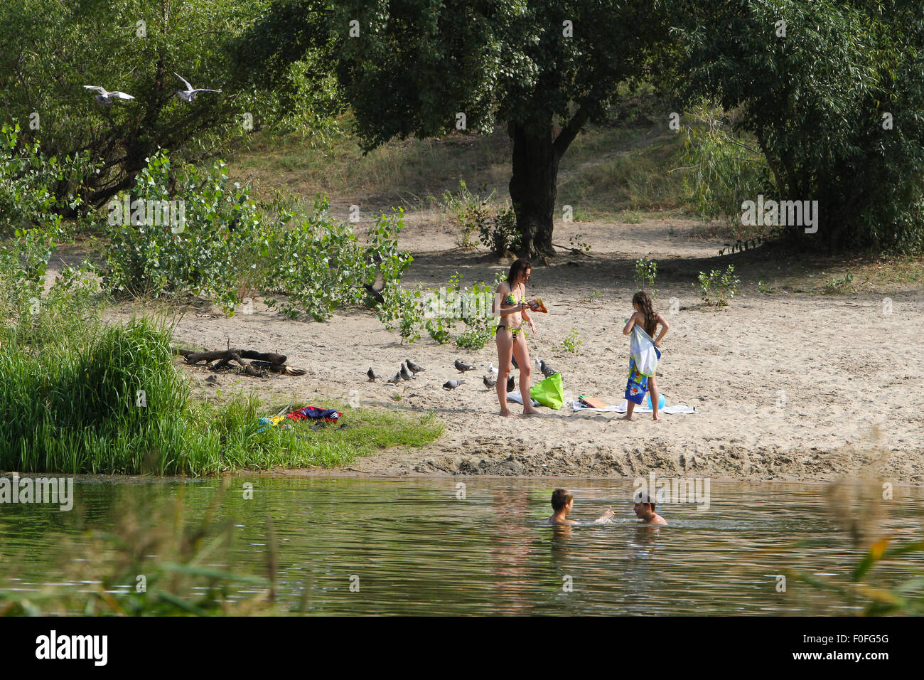Kiew, Ukraine. 13. August 2015. Mehrere Personen wurden mit Leptospirose  beim Schwimmen auf dem See Verbne angesteckt. Leptospirose ist eine  ansteckende Krankheit von Mensch und Tier, die durch pathogene Spirochäten  der Gattung