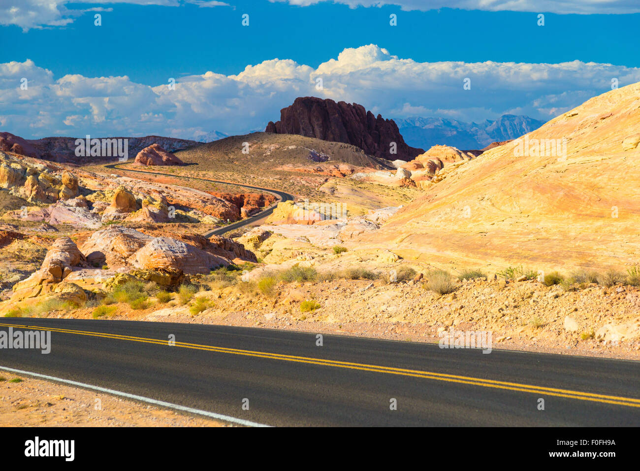 Kurvenreiche Straße inmitten von weißen Kuppeln im Valley of Fire State Park, Nevada Stockfoto